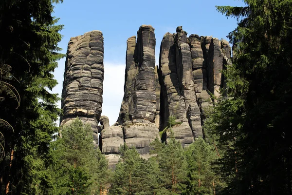 Affensteine U200B U200Bwith Árvores Montanhas Arenito Elba Saxon Switzerland — Fotografia de Stock