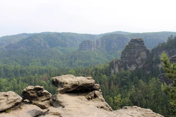 Rocha Com Floresta Montanhas Arenito Elba Saxon Switzerland — Fotografia de Stock