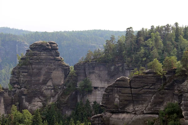 Formazione Rocce Con Foresta Olbe Arenaria Montagne Sassone Svizzera — Foto Stock