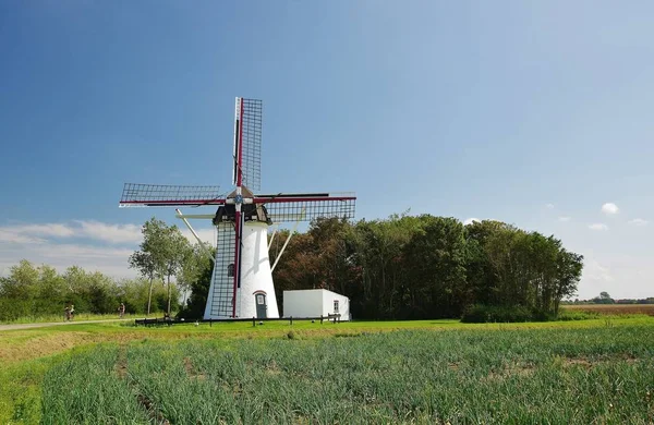 Vista Panorámica Del Paisaje Con Edificio Del Molino Viento —  Fotos de Stock