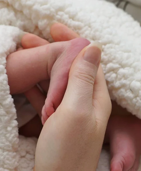 Niedliches Kinderporträt Glückliche Kindheit — Stockfoto