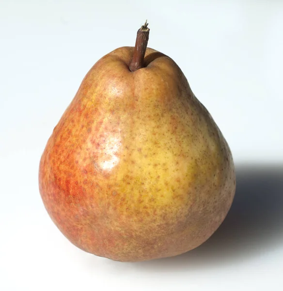 Williams Christus Birne Pyrus Communis — Stockfoto