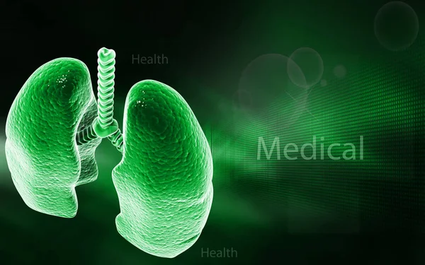 Digital Illustration Human Lungs Colour Background — Stock Photo, Image