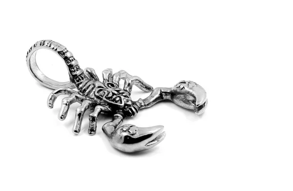 Aço Inoxidável Pendente Scorpion Fundo Branco — Fotografia de Stock