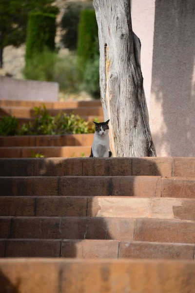 Different Architecture Selective Focus — Stock Photo, Image