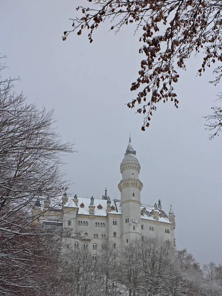 Kışın Hohenschwanstein Şatosu — Stok fotoğraf