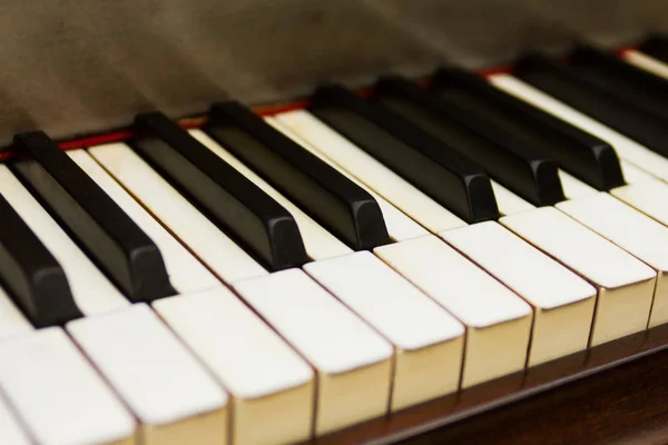 Zongora Billentyűzet Közeli — Stock Fotó