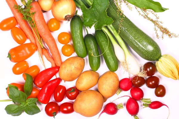 Acción Gracias Verduras Frescas Jardín — Foto de Stock