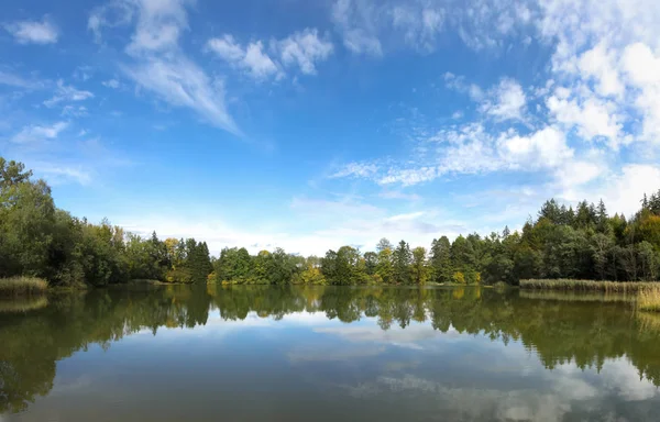 Beau Paysage Forêt — Photo