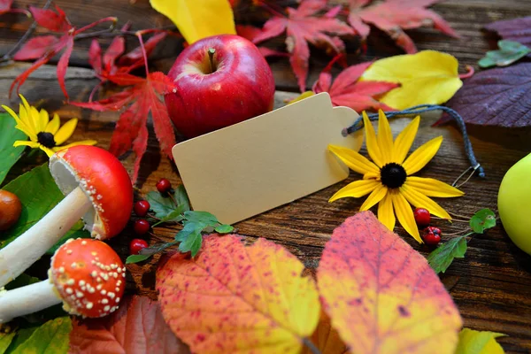 Bunte Herbstblätter Auf Holz Hintergrund — Stockfoto