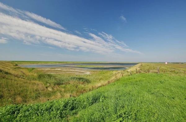 Oosterschelde Nationalpark Vid Moriaanshoofd Schouwen Duiveland Södra Nederlandet — Stockfoto