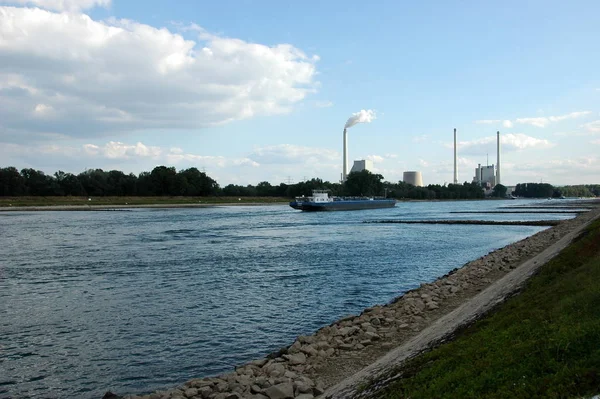 Rhine Maximiliansau Wrzesień 2015 Poziom Wody 370 — Zdjęcie stockowe