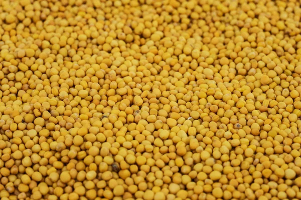 Sementes Mostarda Amarelo Especiarias Como Ingrediente Para Cozinhar — Fotografia de Stock