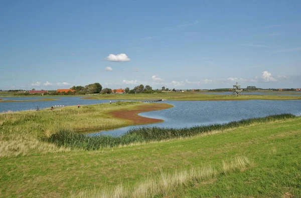 Εθνικό Πάρκο Oosterschelde Στο Moriaanshoofd Schouwen Duiveland Νότια Κάτω Χώρες — Φωτογραφία Αρχείου