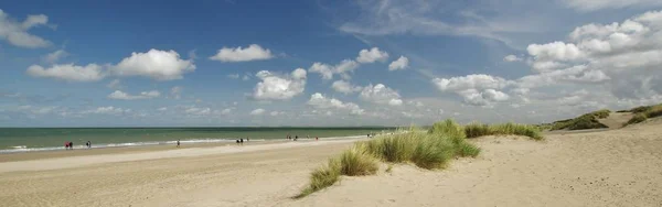 南部Netherlands Schouwen Duiveland Renesse附近的沙丘景观 — 图库照片