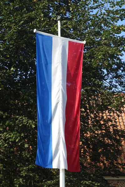 Arka Planda Ulusal Renklerde Bayraklar — Stok fotoğraf