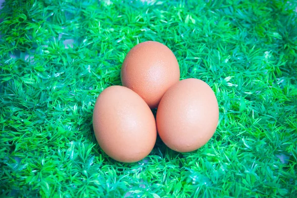 Ovos Grama Verde — Fotografia de Stock