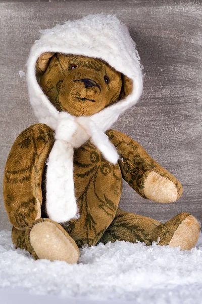 Teddy White Cap Sitting Snow — Stock Photo, Image