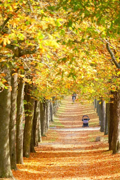 Kastanienallee Sonbahar Elbisesi Içinde — Stok fotoğraf