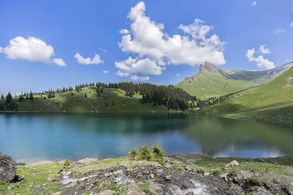 Panorama Dari Pegunungan Alpen — Stok Foto