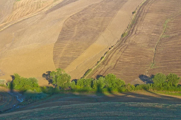 Felder Crete Toscana — Stockfoto