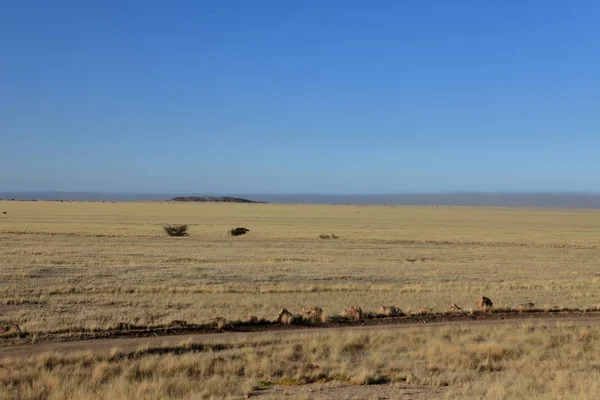 Paysage Dans Parc National Namib Naukluft Namibie — Photo