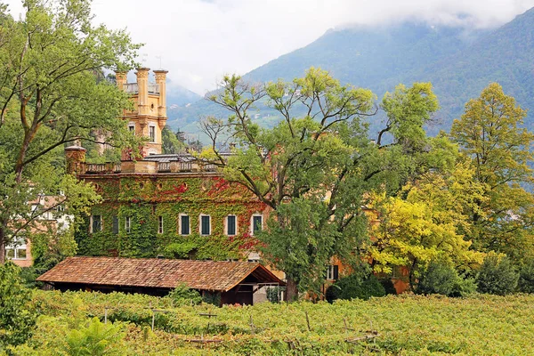 Bello Fogliame Colorato Autunno — Foto Stock