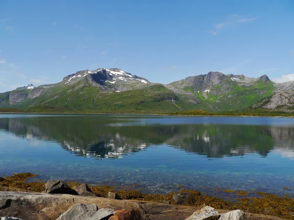 Lofoten Auf Naturlandschaft Hintergrund — Stockfoto