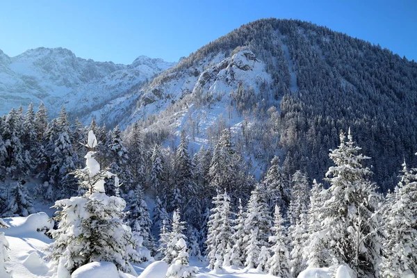 Bela Vista Paisagem Inverno — Fotografia de Stock