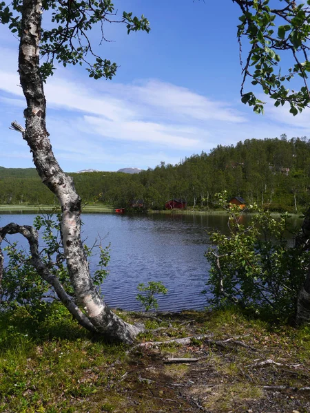 Paisaje Con Lago Norway Norte —  Fotos de Stock