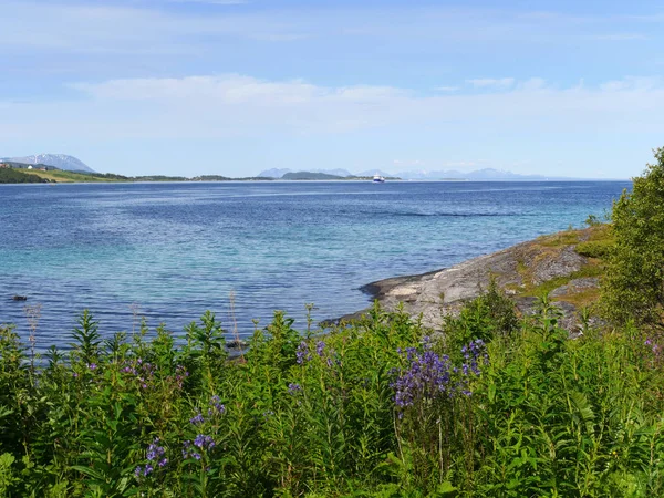 Schilderachtig Uitzicht Eiland Selectieve Focus — Stockfoto