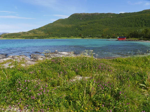 Vue Panoramique Île Mise Point Sélective — Photo