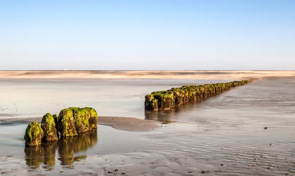 Sea Coastline Summer Nature Vacation — Stock Photo, Image