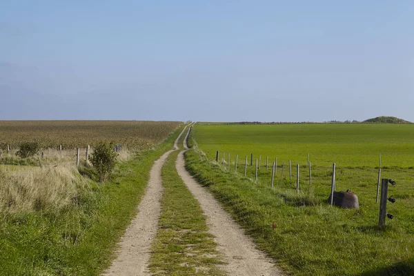 Een Klein Weggetje Leidt Naar Een Typisch Noord Fries Landschap — Stockfoto