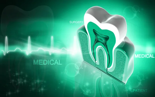 Ilustração Digital Dos Dentes Seção Transversal Fundo Colorido — Fotografia de Stock
