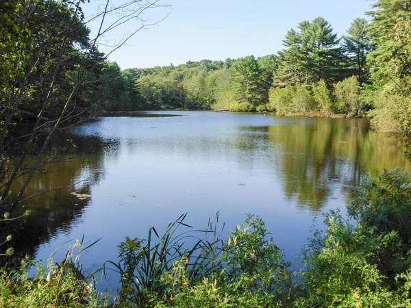 Natürliche Flusslandschaft Der Nähe Von Portland Maine Usa — Stockfoto
