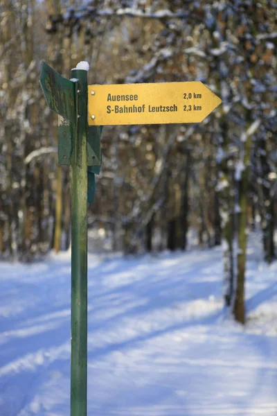 Leipziger Auenwald Winter Gids Voor Leutzsch Auensee Station — Stockfoto