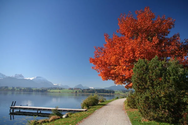 Bayerisch Schöne Landschaft Deutschland — Stockfoto