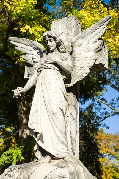 Trincheira Anjo Escultura Religiosa Uma Sepultura — Fotografia de Stock