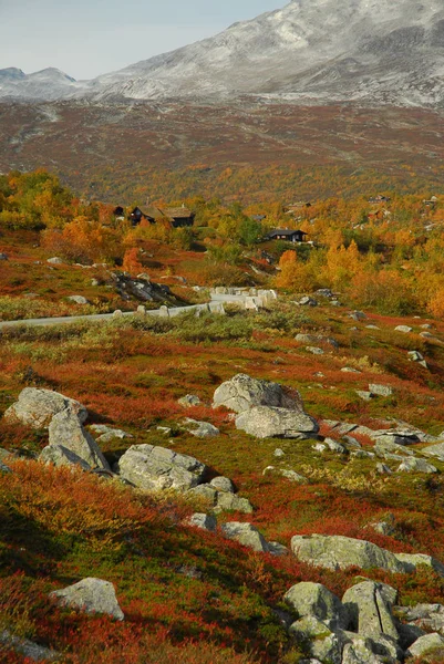 Noordwaarts Fjord Norway Strynfjell — Stockfoto