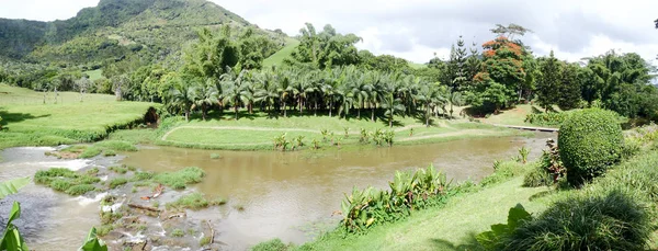 Река Домене Этуаль Восточном Побережье Маврикия — стоковое фото