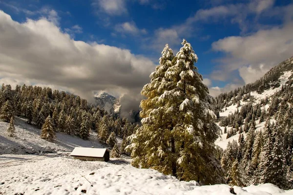 Inverno Nas Montanhas — Fotografia de Stock