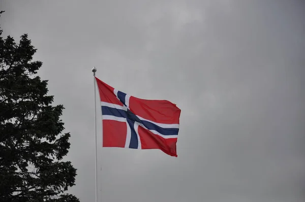 在风中飘扬的挪威国旗 — 图库照片