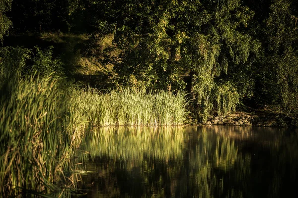 Abend Teich — Stockfoto