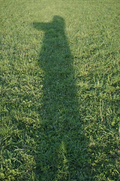 Ombre Homme Dans Soleil Soir — Photo