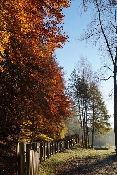 Złota Jesień Nad Jeziorem Tristy Tyrol — Zdjęcie stockowe
