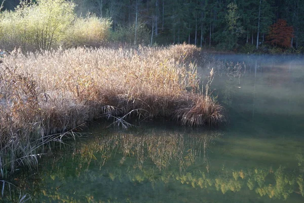 秋の朝トリスタッチチロル湖で — ストック写真