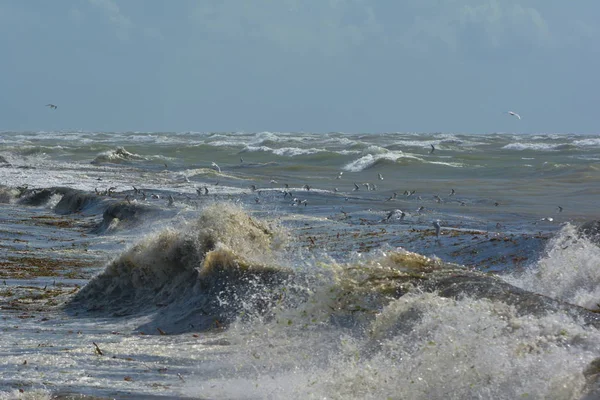 Scenic View Beautiful Ocean Seascape — Stock Photo, Image