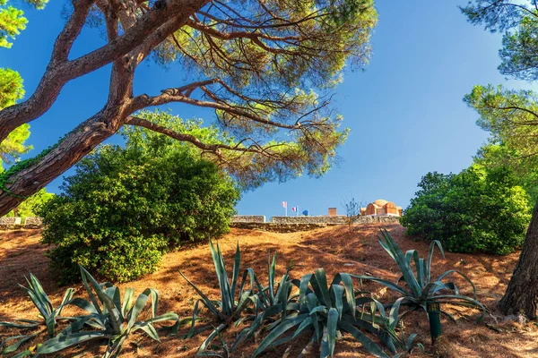 Όμορφη Θέα Της Φύσης Σκηνή — Φωτογραφία Αρχείου