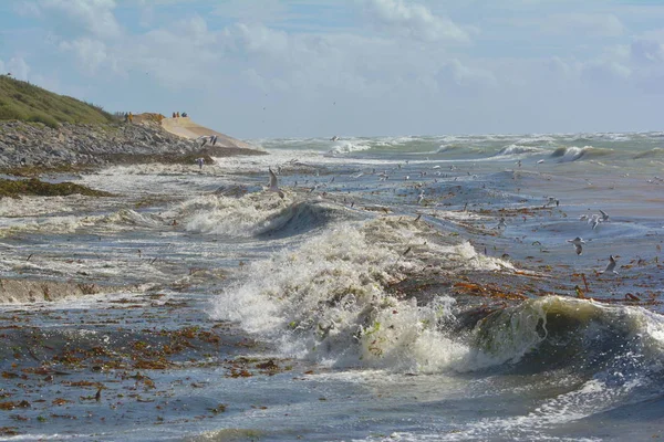 Raue See Der Küste Der Insel Auf Dem Atlantik — Stockfoto